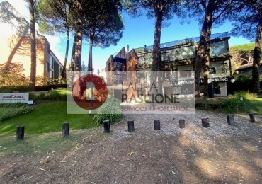 DEPARTAMENTO COMPLEJO AGUA CALMA (C)